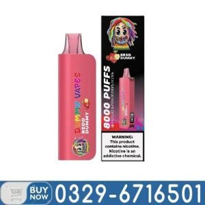 Dummy Vapes 8000 Disposable Vape Price In Pakistan