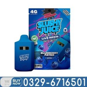 Slushie Disposable Vapes In Pakistan