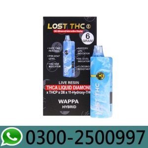 Lost THC 6g Disposable Vape In Pakistan